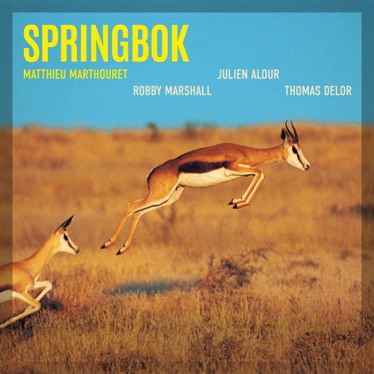 SPRINGBOK (EP)