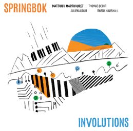 Matthieu Marthouret SPRINGBOK INVOLUTIONS