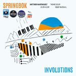 Matthieu Marthouret SPRINGBOK - INVOLUTIONS